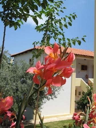 Hotel Heleni Apartments Epidaurus Екстер'єр фото