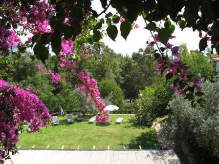 Hotel Heleni Apartments Epidaurus Екстер'єр фото